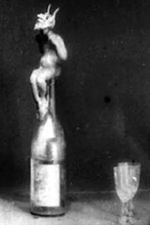 Постер к фильму Пьянство и его последствия (1913)