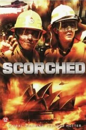 Постер к фильму Хуже не бывает (2008)