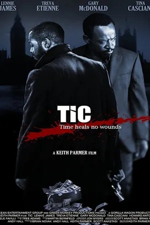 Постер к фильму По понятиям (2010)