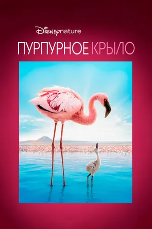 Постер к фильму Пурпурное крыло (2008)