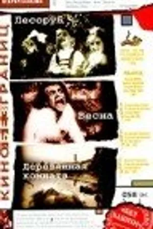 Постер к фильму Деревянная комната (1995)