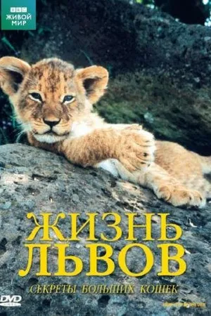 Постер к фильму BBC: Жизнь львов (2000)