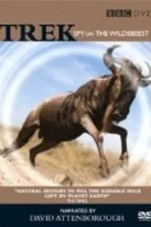Постер к фильму Trek: Spy on the Wildebeest (2007)