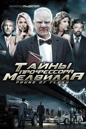 Постер к фильму Тайны профессора Мелвилла (2010)