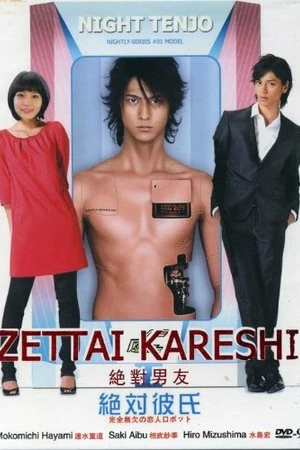 Постер к сериалу Идеальный парень (2008 - 2009)