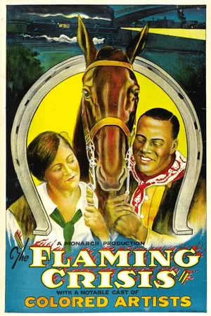 Постер к фильму The Flaming Crisis (1924)