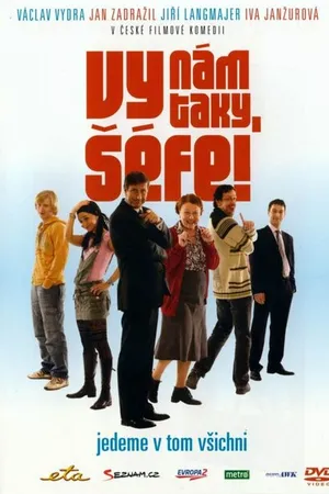 Постер к фильму Vy nám taky séfe! (2008)