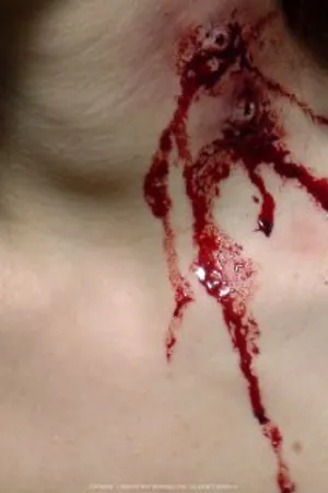 Постер к фильму Blood + Roses (2010)