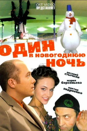 Постер к фильму Один в новогоднюю ночь (2006)
