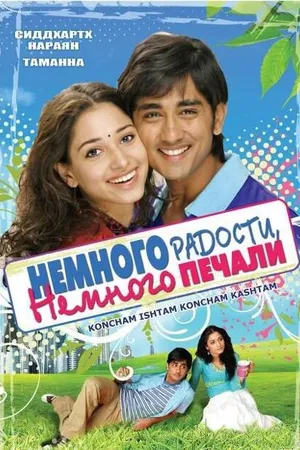 Постер к фильму Немного радости, немного печали (2009)