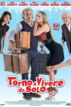 Постер к фильму Я вернулся жить в одиночку (2008)