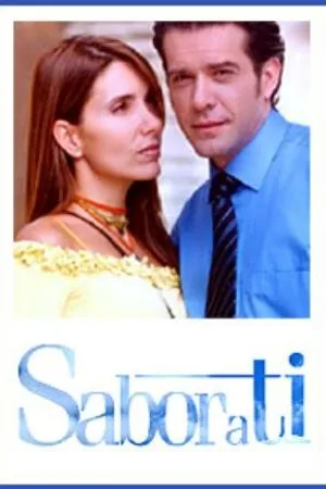 Постер к сериалу Сила любви (2004 - 2005)