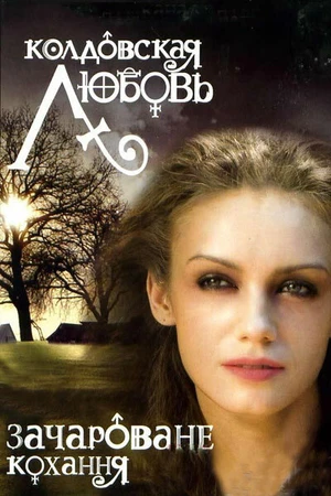 Постер к сериалу Колдовская любовь (2008)