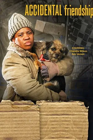 Постер к фильму Случайная дружба (2008)