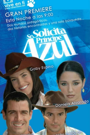 Постер к сериалу В поисках идеального мужчины (2005)