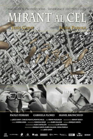 Постер к фильму Глядя на небо (2008)