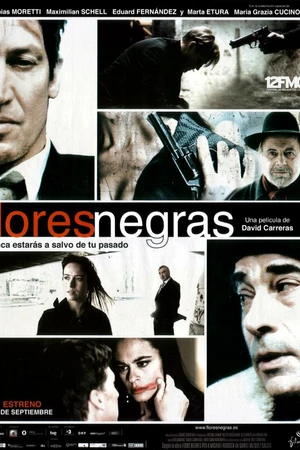 Постер к фильму Черные цветы (2009)