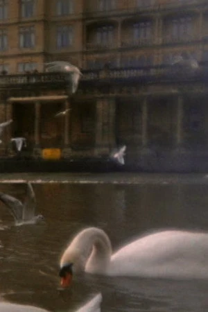 Постер к фильму Ferment (1999)