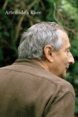 Постер к фильму Колено Артемиды (2008)