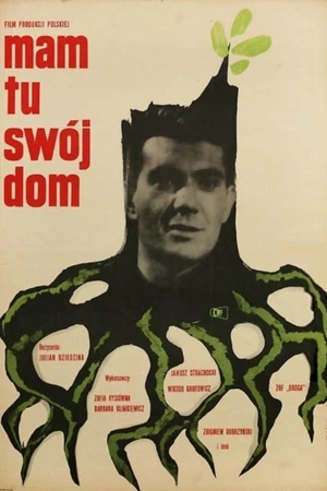 Постер к фильму Старая вражда (1963)