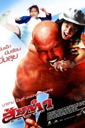 Постер к фильму Сомтум (2008)