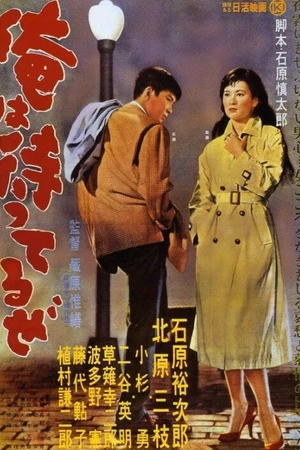 Постер к фильму Я жду (1957)