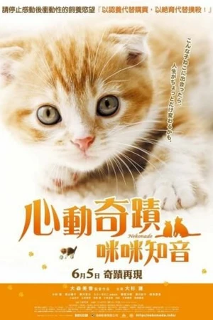 Постер к фильму Нэконадэ (2008)