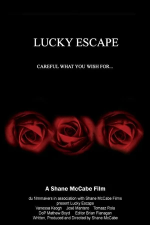 Постер к фильму Счастливый исход (2007)
