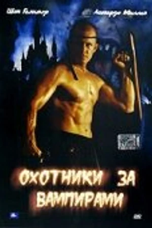 Постер к фильму Охотники за вампирами (2004)