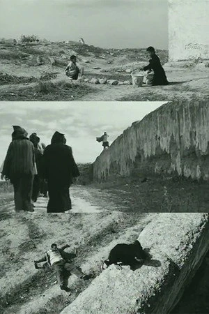 Постер к фильму La falaise (1999)