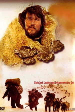 Постер к сериалу Золотая приманка (1975)