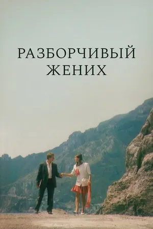 Постер к фильму Разборчивый жених (1993)