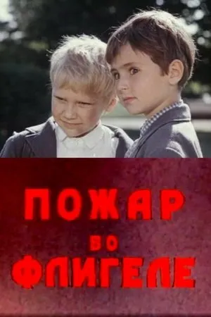Постер к фильму Пожар во флигеле, или Подвиг во льдах (1973)