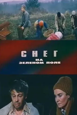 Постер к фильму Снег на зелёном поле (1981)