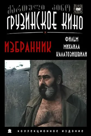 Постер к фильму Избранник (1991)