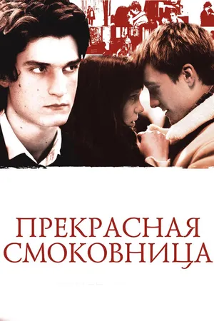 Постер к фильму Прекрасная смоковница (2008)