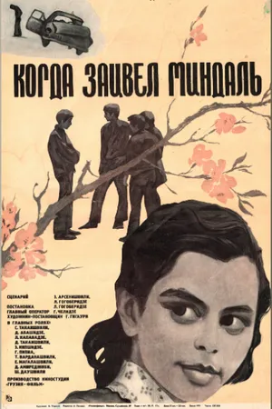 Постер к фильму Когда зацвел миндаль (1972)