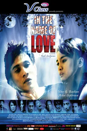 Постер к фильму Во имя любви (2008)
