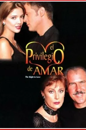 Постер к сериалу Привилегия любить (1998 - 1999)