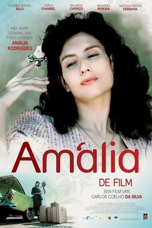 Постер к фильму Амалия (2008)