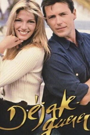 Постер к сериалу История любви (1993)