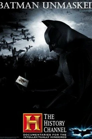 Постер к фильму Бэтмен без маски (2008)