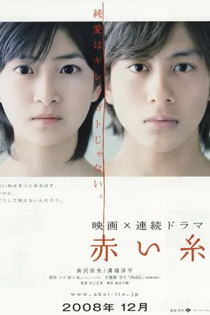 Постер к фильму Красная нить судьбы (2008)