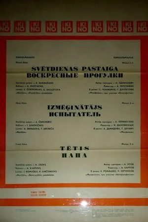 Постер к фильму Испытатель (1986)
