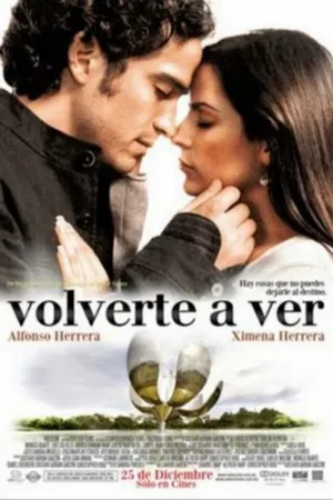 Постер к фильму Вновь видеть тебя (2008)