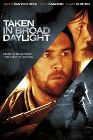 Постер к фильму Похищена средь бела дня (2009)