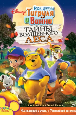 Постер к мультфильму Мои друзья Тигруля и Винни: Тайны волшебного леса (2008)