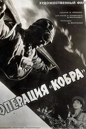 Постер к фильму Операция «Кобра» (1960)