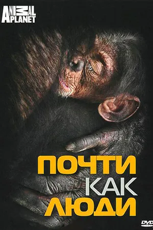 Постер к фильму Discovery: Почти как люди (2007)