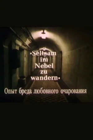 Постер к фильму Опыт бреда любовного очарования (1991)